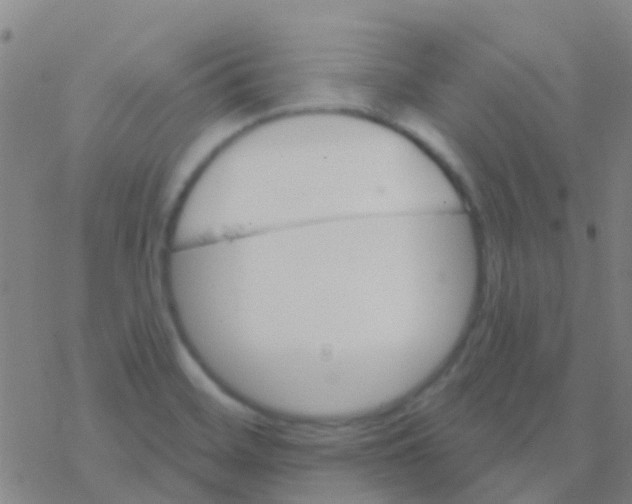 X0000076321468200610271952