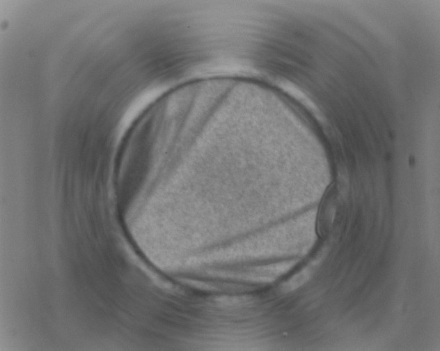 X0000076321469200610271952