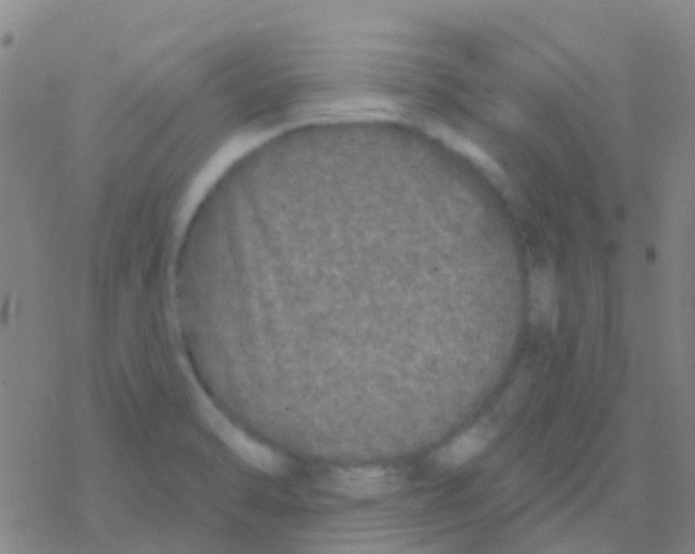 X0000076321470200610271952