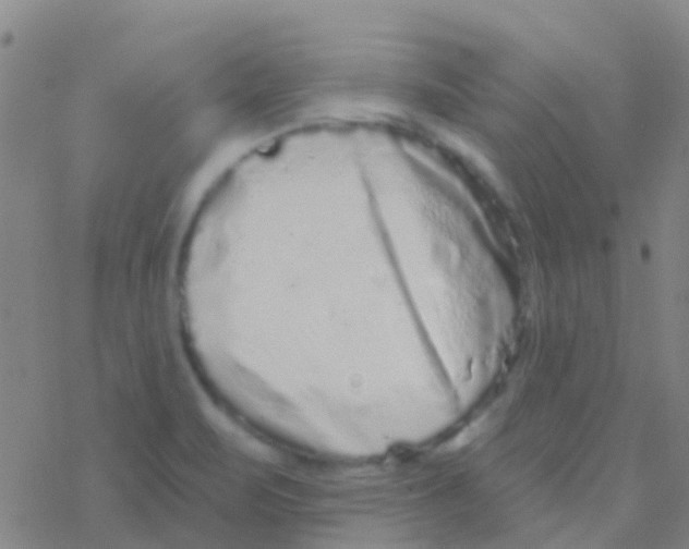 X0000076321471200610271952