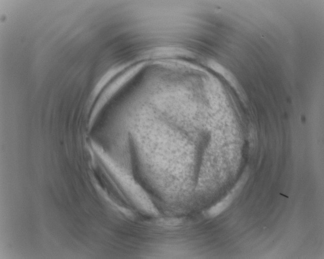 X0000076321473200610271952