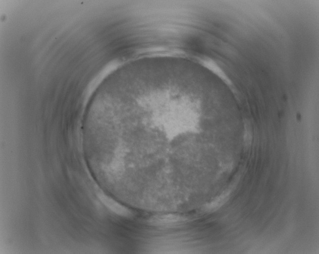 X0000076321474200610271952