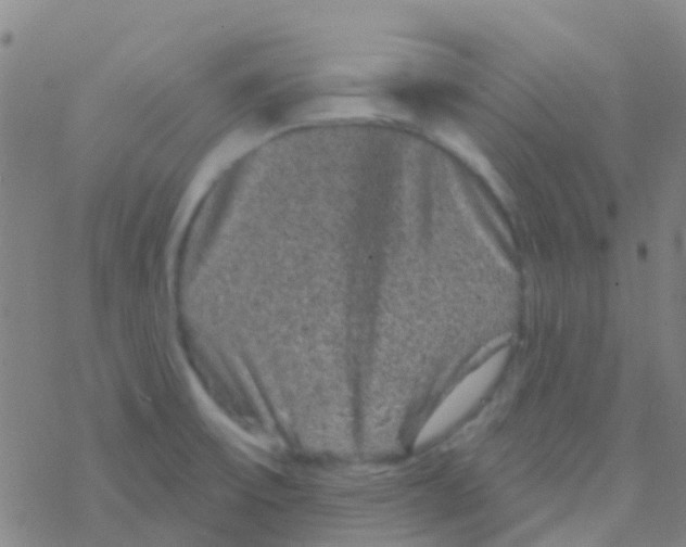 X0000076321475200610271952