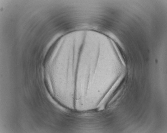 X0000076321476200610271952