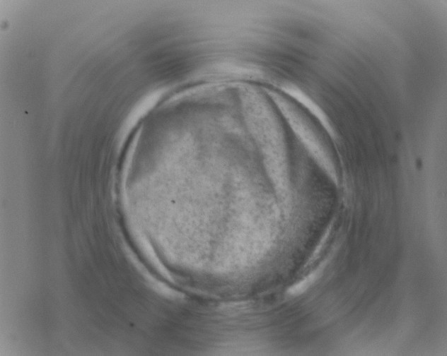 X0000076321477200610271952