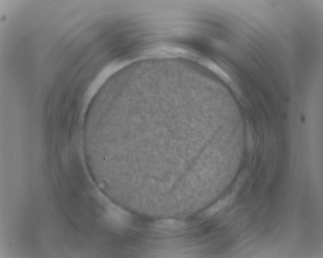 X0000076321478200610271952