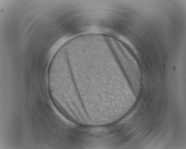 X0000076321479200610271952