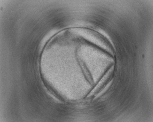 X0000076321480200610271952