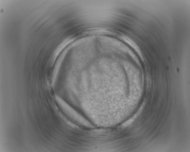 X0000076321481200610271952