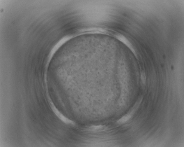 X0000076321482200610271952