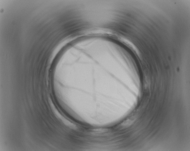 X0000076321483200610271952