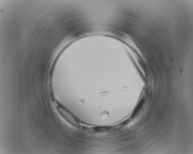 X0000076321484200610271952