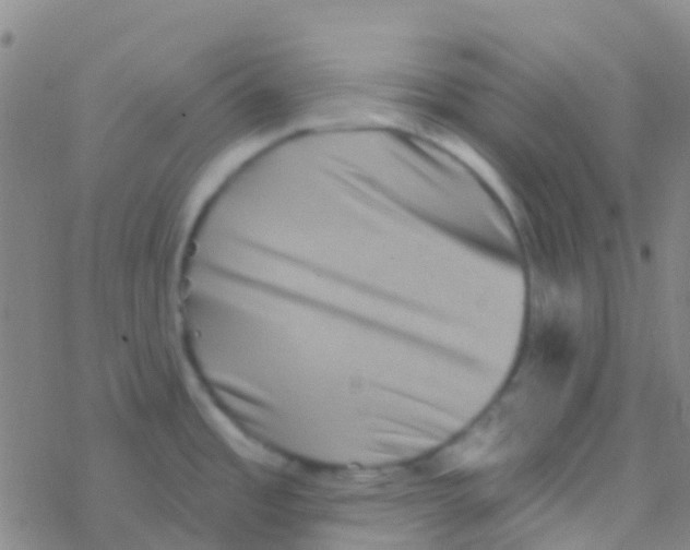 X0000076321485200610271952