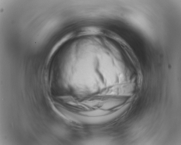 X0000076321487200610271952