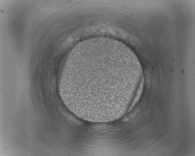 X0000076321489200610271951