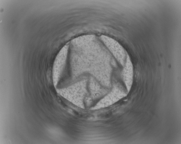 X0000076321490200610271951