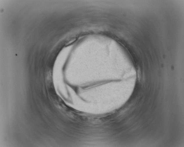 X0000076321492200610271951