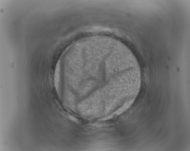 X0000076321493200610271951