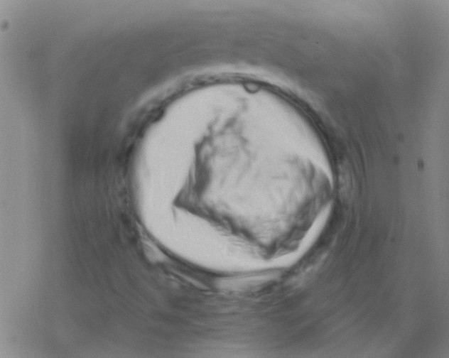 X0000076321494200610271951