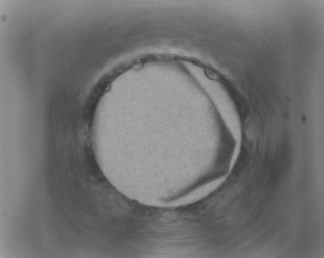 X0000076321495200610271951