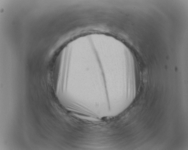 X0000076321496200610271951