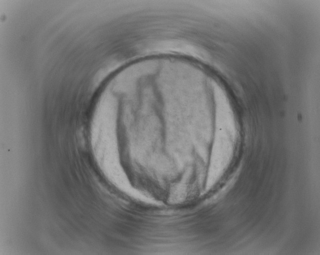 X0000076321497200610271951