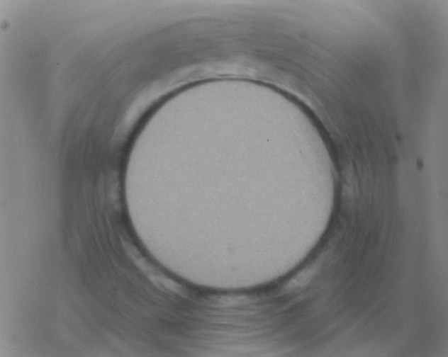 X0000076321499200610271951