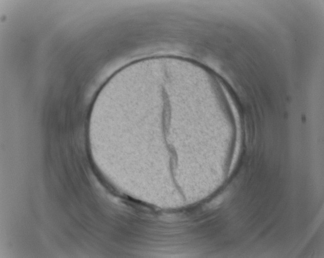 X0000076321500200610271951