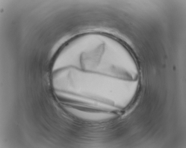 X0000076321501200610271951