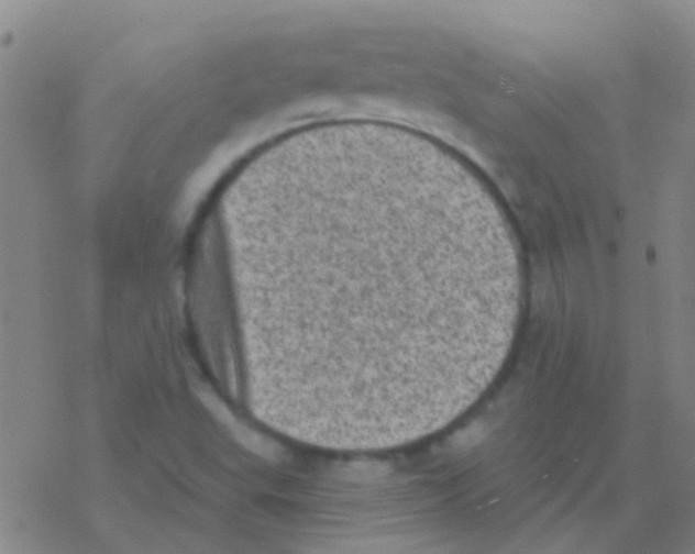 X0000076321503200610271951