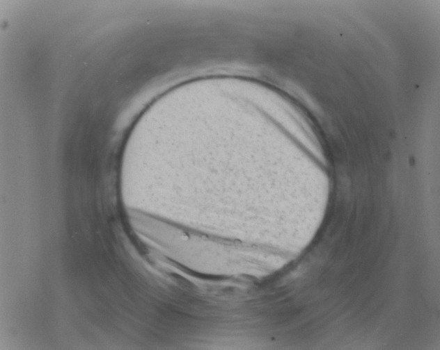 X0000076321504200610271951