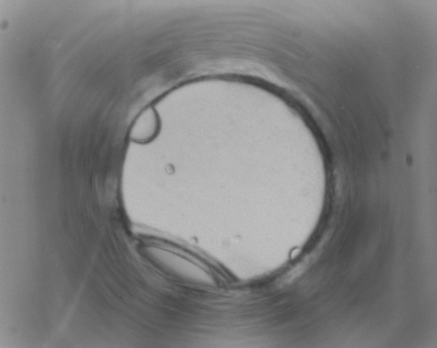 X0000076321505200610271951