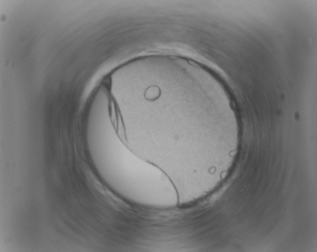 X0000076321506200610271951