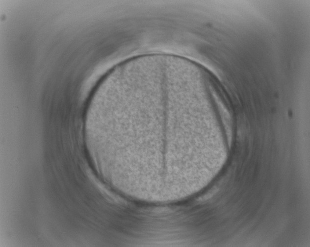 X0000076321507200610271951