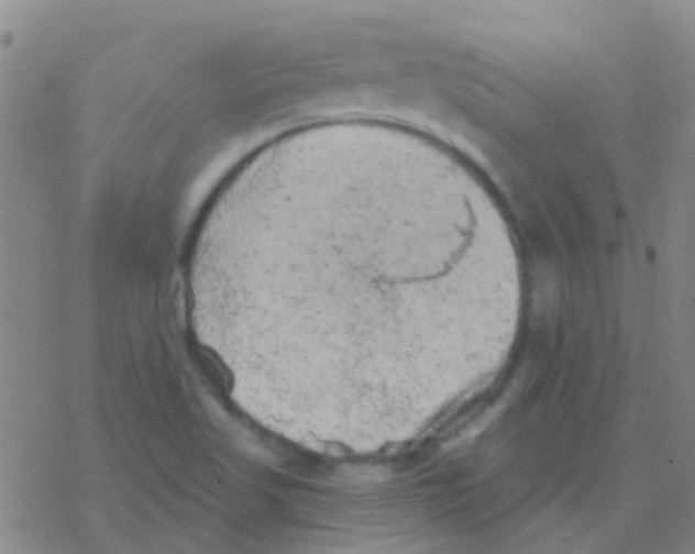 X0000076321509200610271951