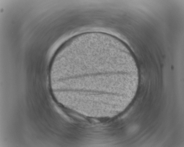 X0000076321511200610271951