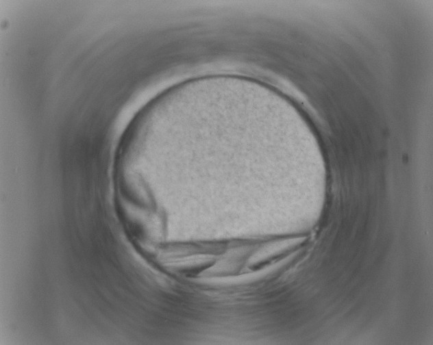 X0000076321512200610271951