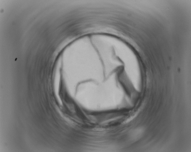 X0000076321513200610271951