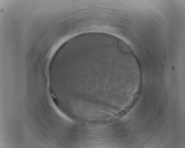 X0000076321515200610271951