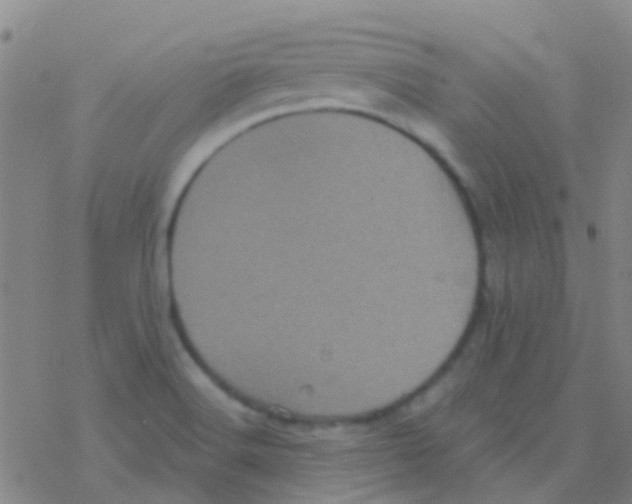 X0000076321516200610271951