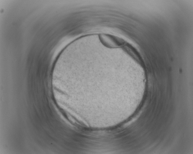 X0000076321517200610271951