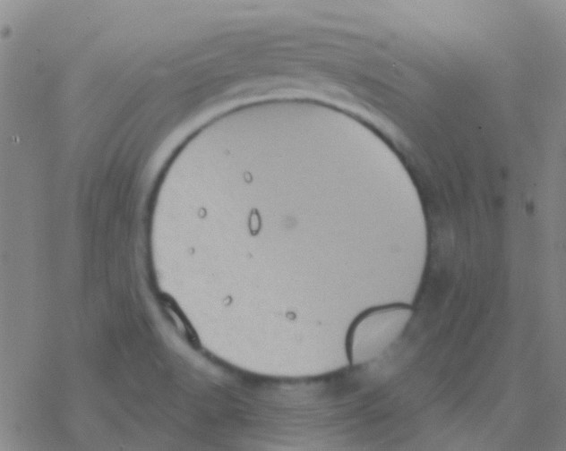 X0000076321518200610271951