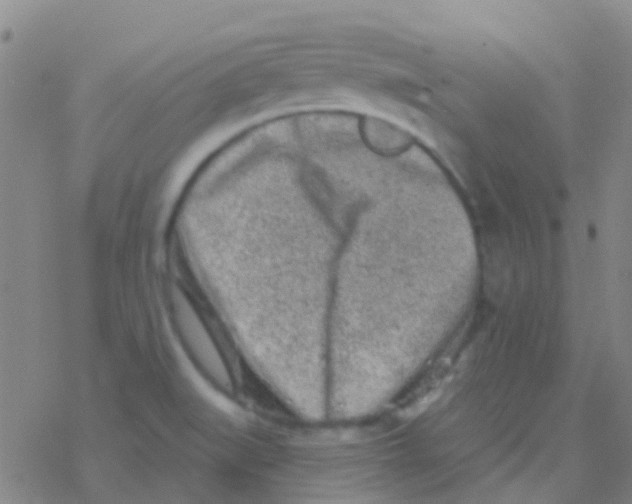 X0000076321519200610271951