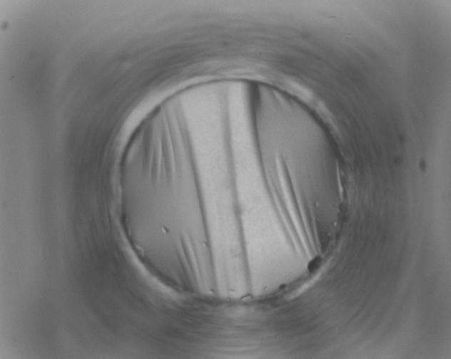 X0000076321520200610271951