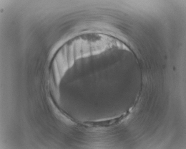 X0000076321522200610271951