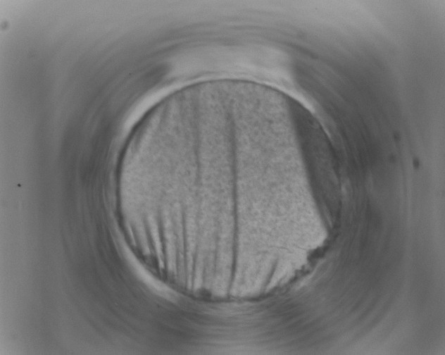 X0000076321523200610271951