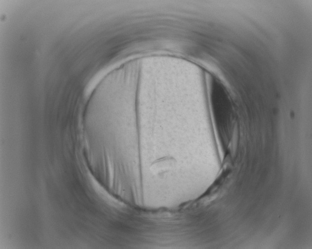 X0000076321524200610271951