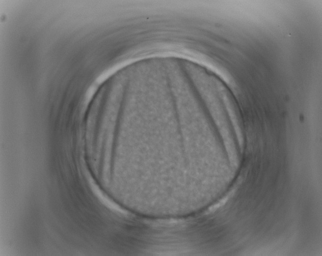 X0000076321526200610271951