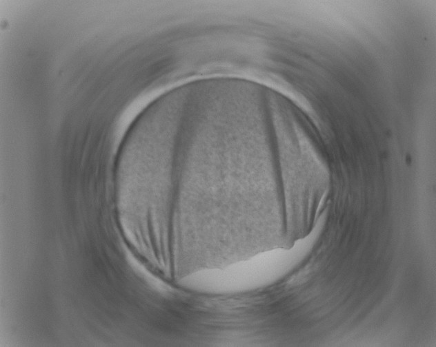 X0000076321527200610271951