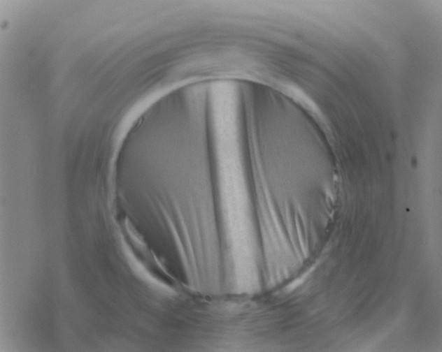 X0000076321528200610271951